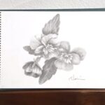 【2025年冬③】水彩画教室の皆様へ: 「オンラインスクール」第五弾開講