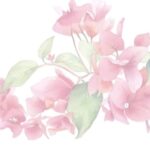 【2018年6月3日～6月9日】有楽町にて『親子展』開催決定